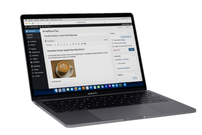 Desarollo Web SmartNet Solutions