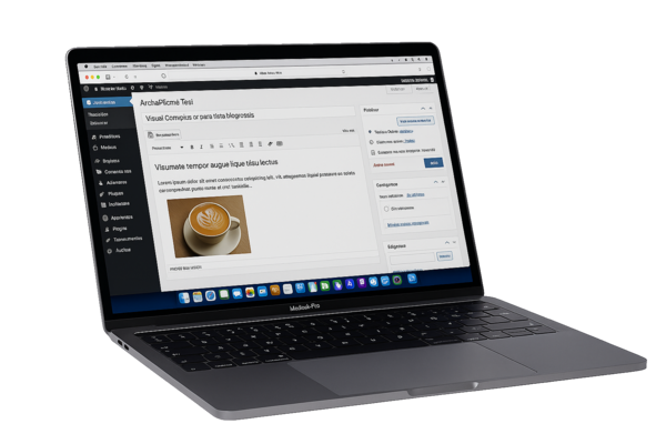 Desarollo Web SmartNet Solutions
